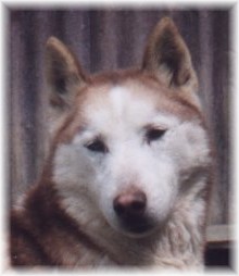 ESKAYA